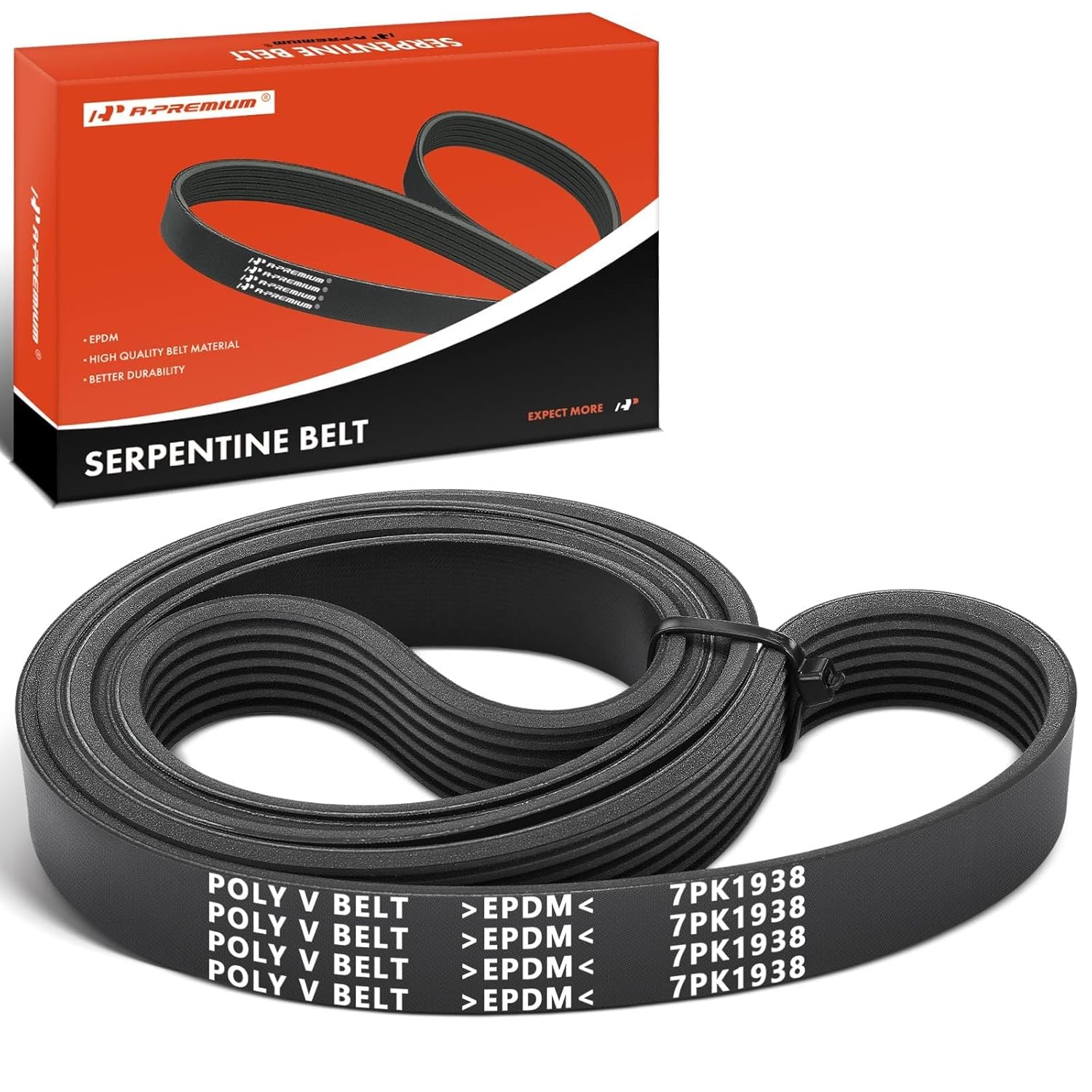 2002-2006 Toyota Camry 2.4L Serpentine Drive Belt 2AZ Engine