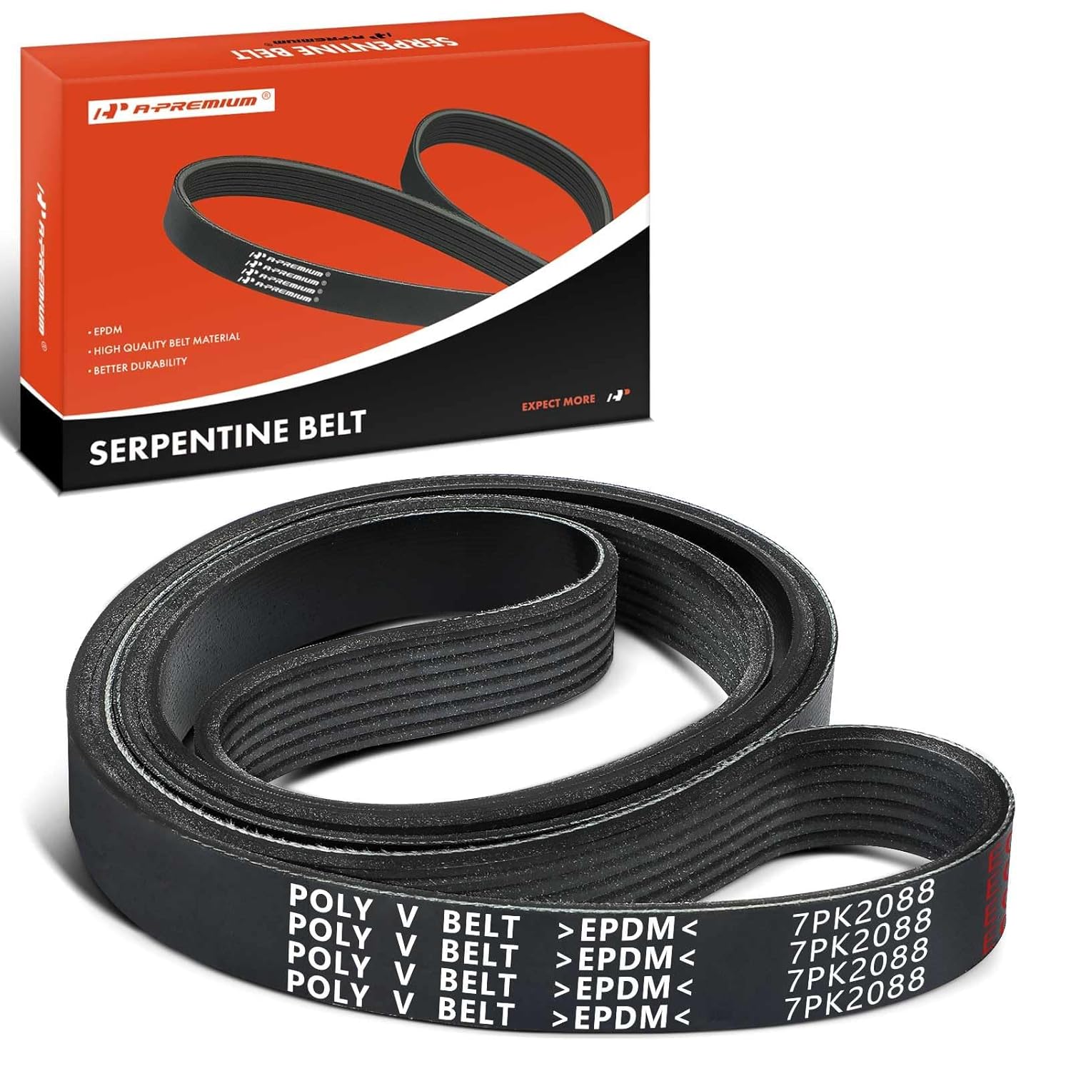 2007-2011 Toyota Camry 3.5L Serpentine Drive Belt