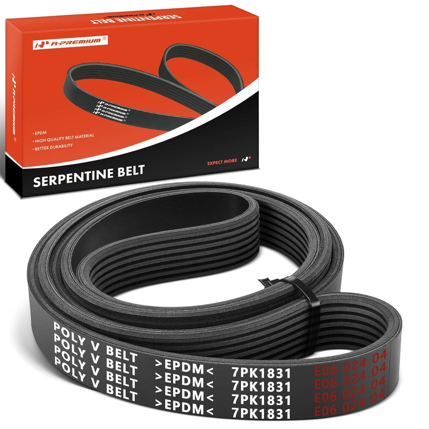 2008-2012 Honda Accord 2.4L Serpentine Drive Belt