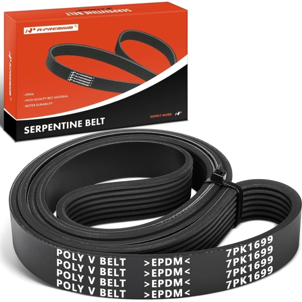 2009-2014 Nissan Murano 3.5L Serpentine Drive Belt VQ35 Engine