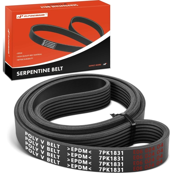 2008-2012 Honda Accord 2.4L Serpentine Drive Belt