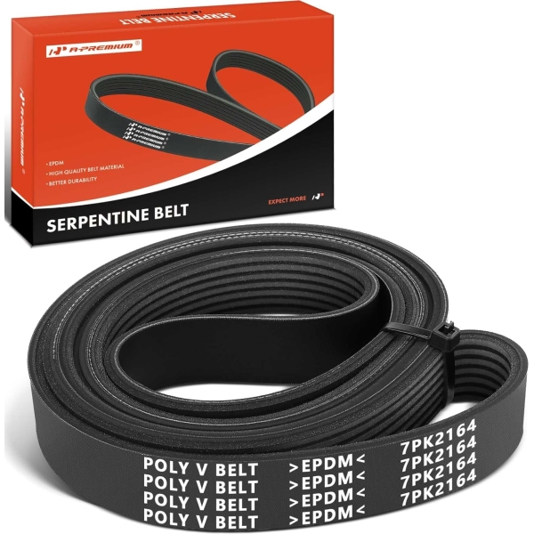 2006-2011 Honda Civic 1.8L Serpentine Drive Belt